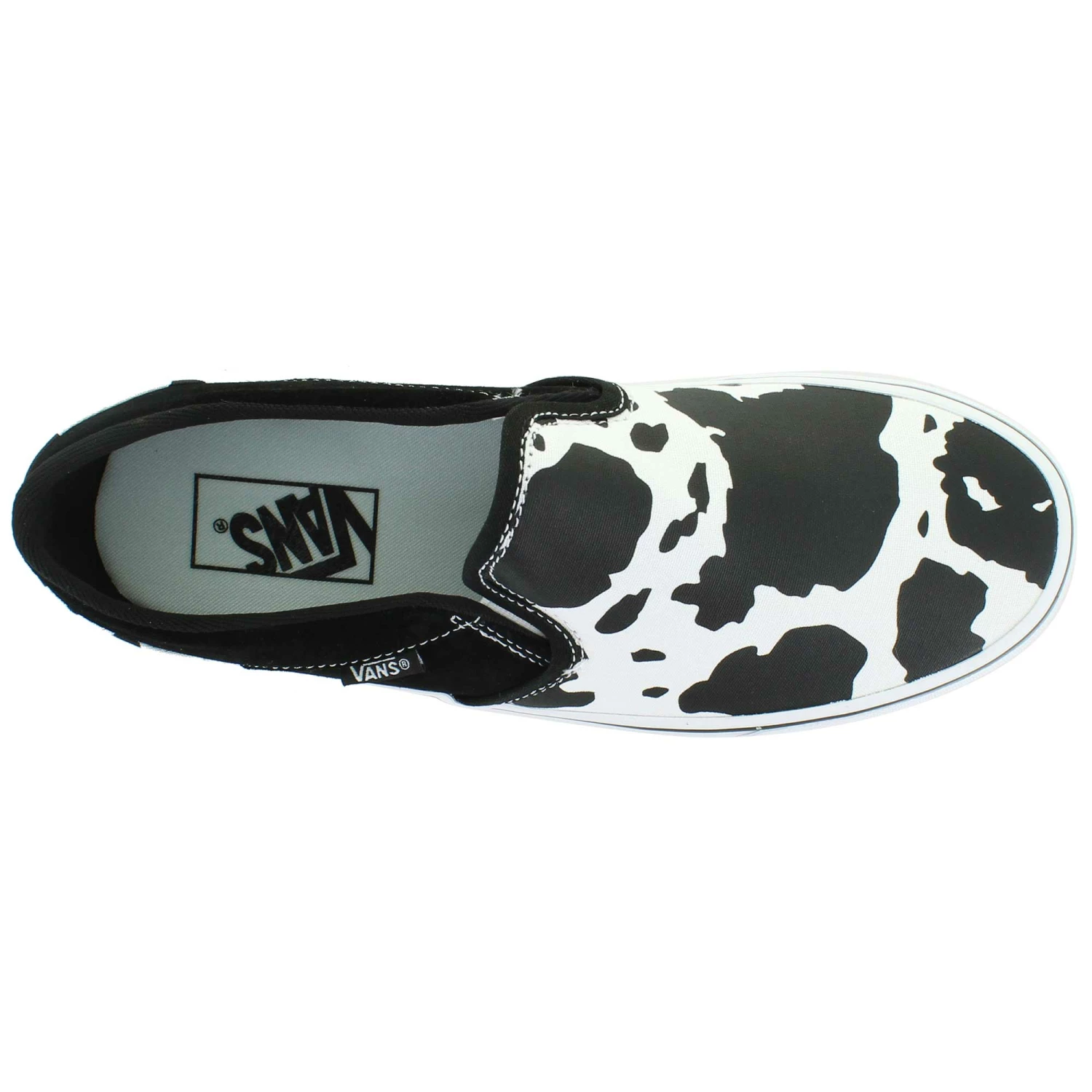 Vans Asher - Image 5