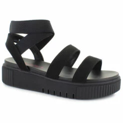 Shimmer By EDL Leena