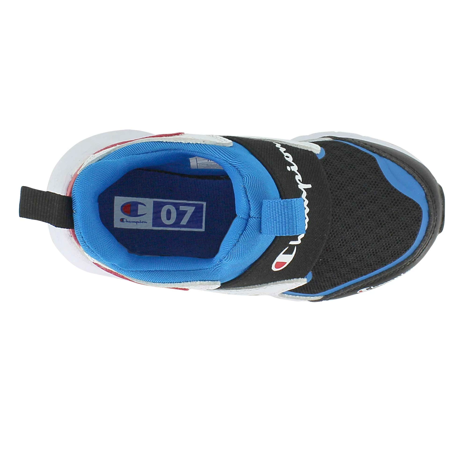 Champion C Pace Gameness - Image 5