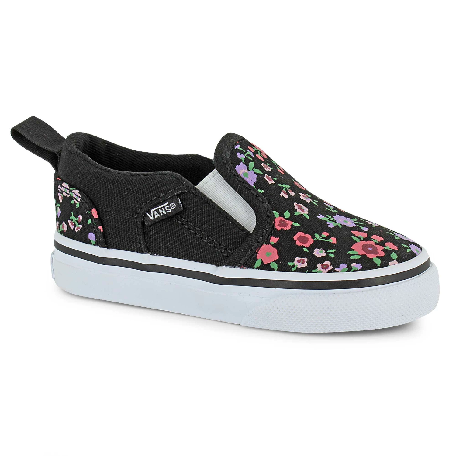 Vans Asher V